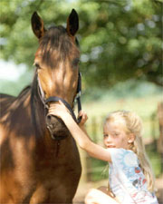 Henry Corner genie&szlig;t die Streicheleinheiten
