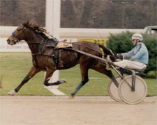 Henry Corner siegt mit Willi Rode